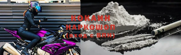 прущий лед Бородино