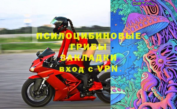 мдпв Долгопрудный