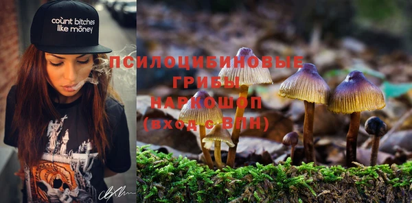 прущий лед Бородино