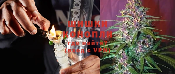 прущий лед Бородино