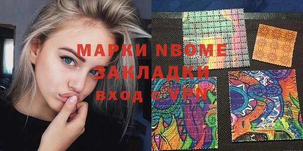 прущий лед Бородино