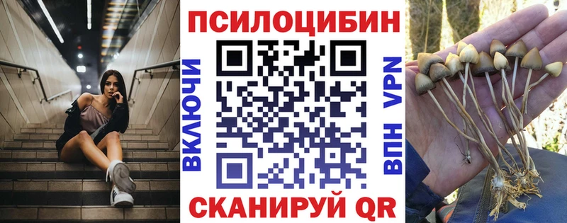 цены наркотик  Буинск  Псилоцибиновые грибы ЛСД 