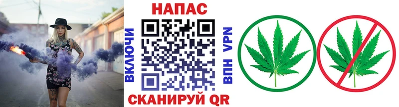 Бошки марихуана сатива  Буинск 